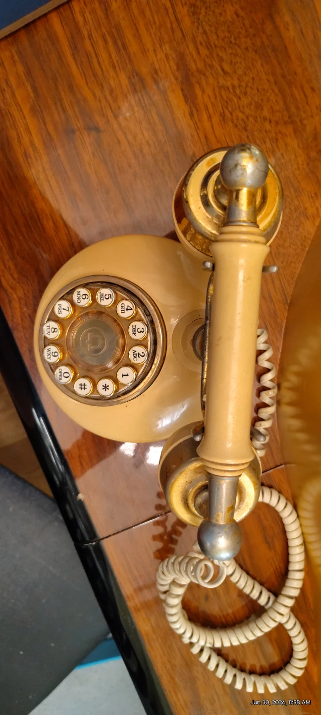 Rotery French style Home Phone - photo 4