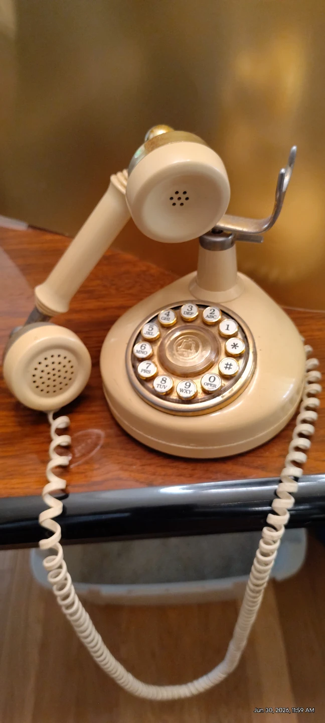 Rotery French style Home Phone - photo 5