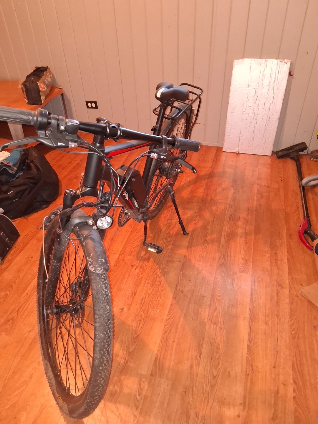 E bike - photo 4