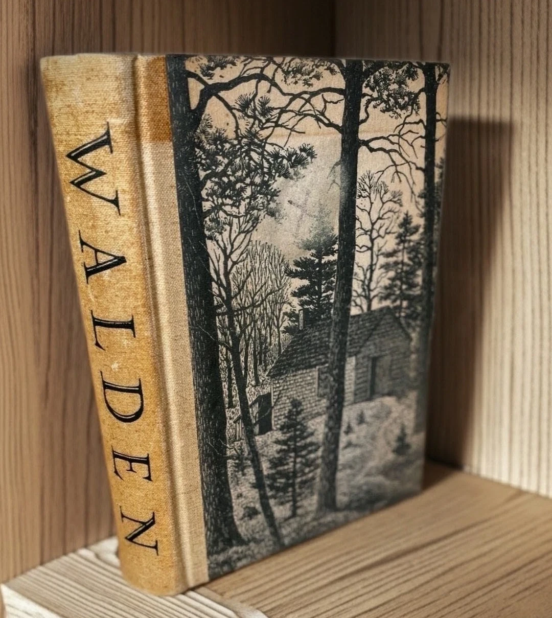 Henry David Thoreau WALDEN OR LIFE IN THE WOODS 1st Ed 1st Prn