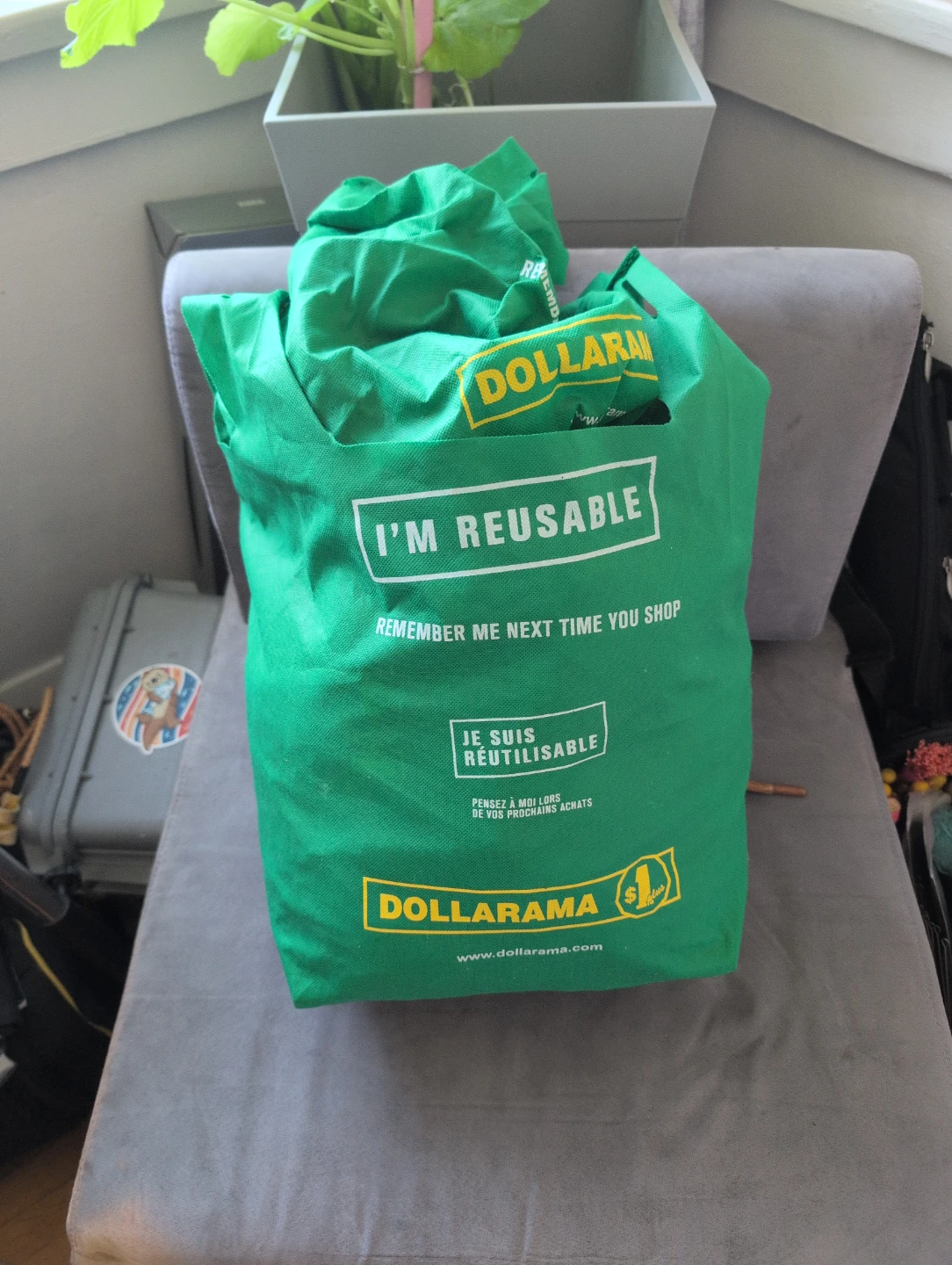 Bags of Bags! (Reusable shopping bags)