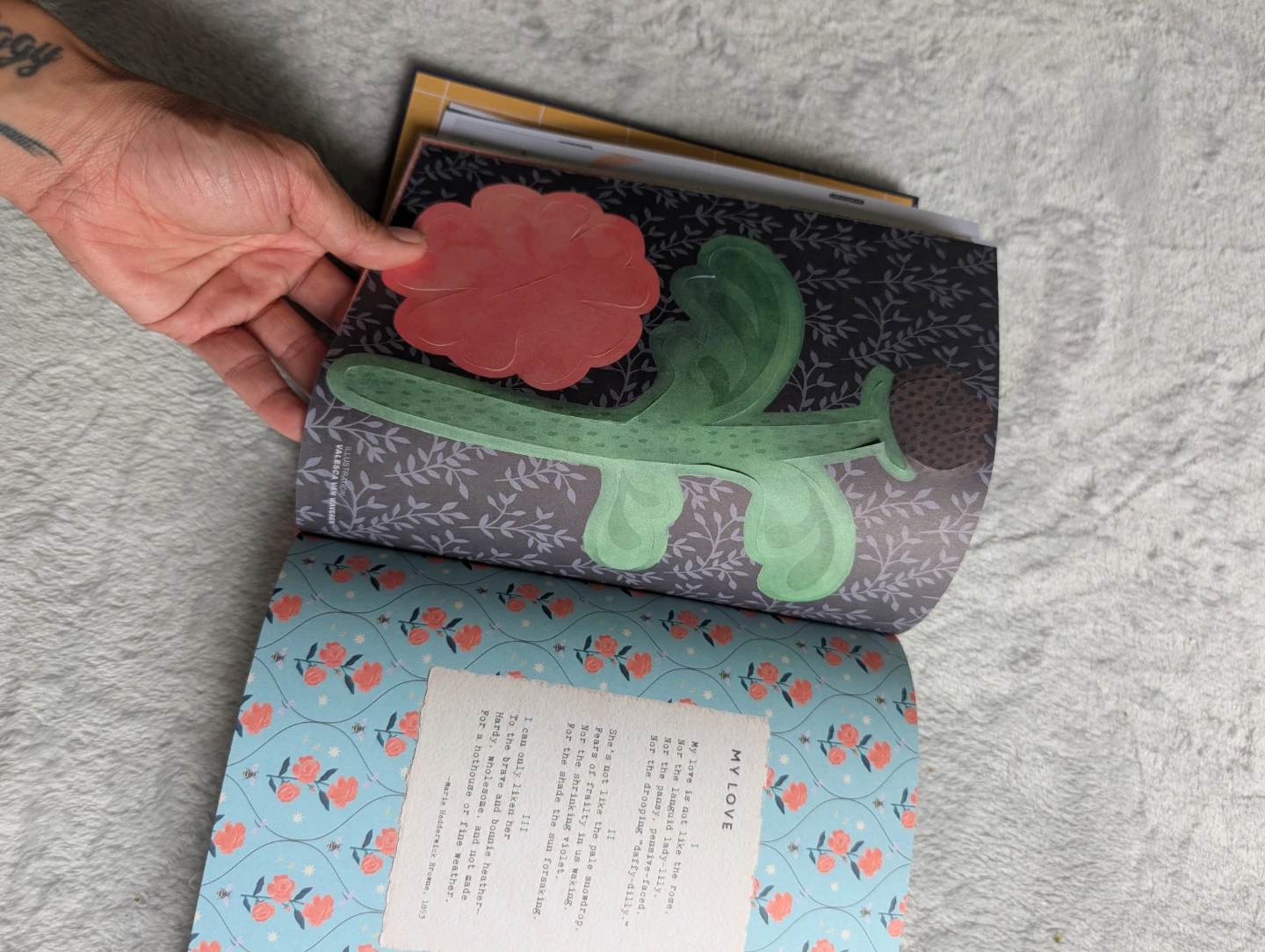 ⚽⚽Flow A Book That Loves You Book - photo 5