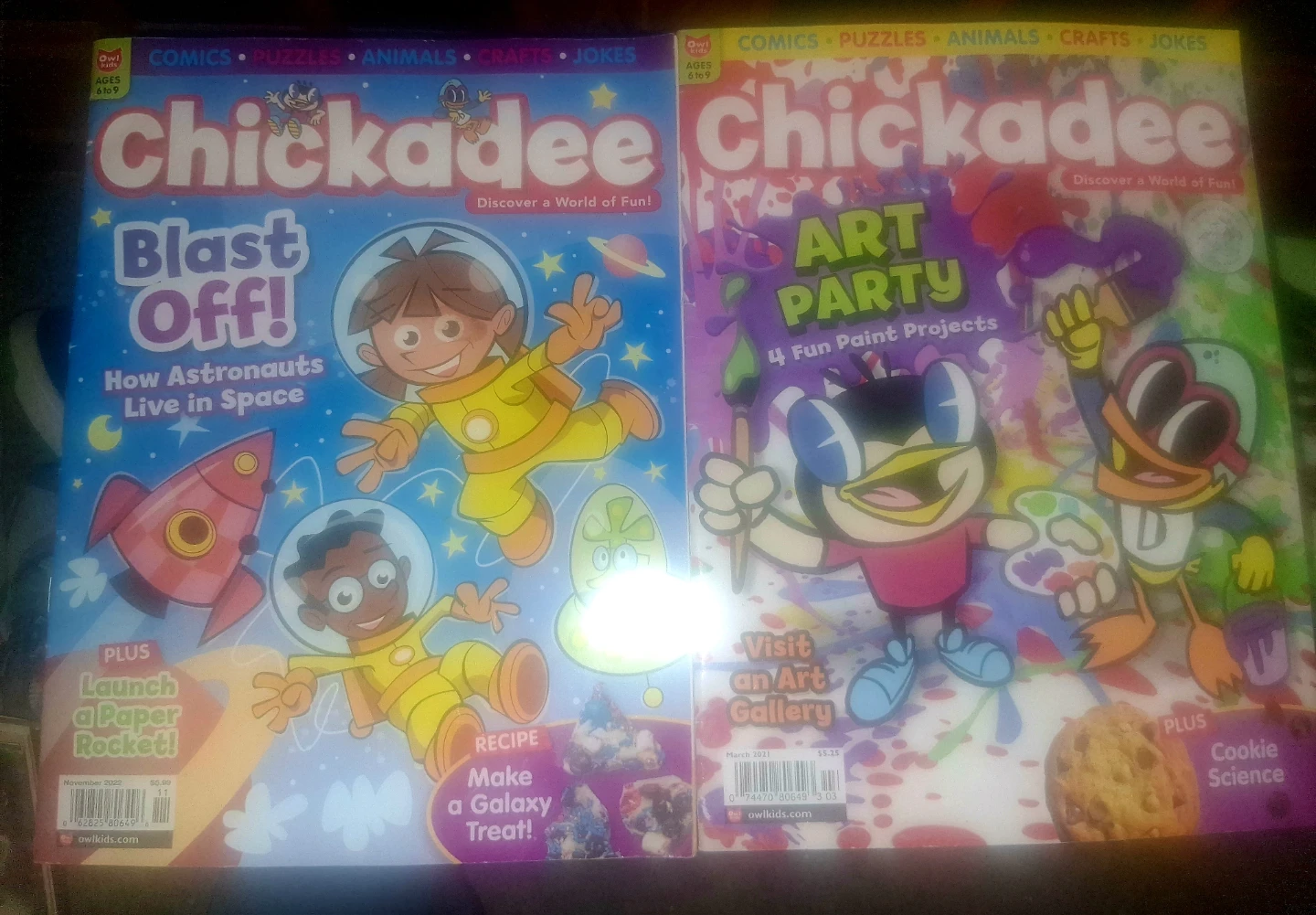 Chickadee Magazine Bundle