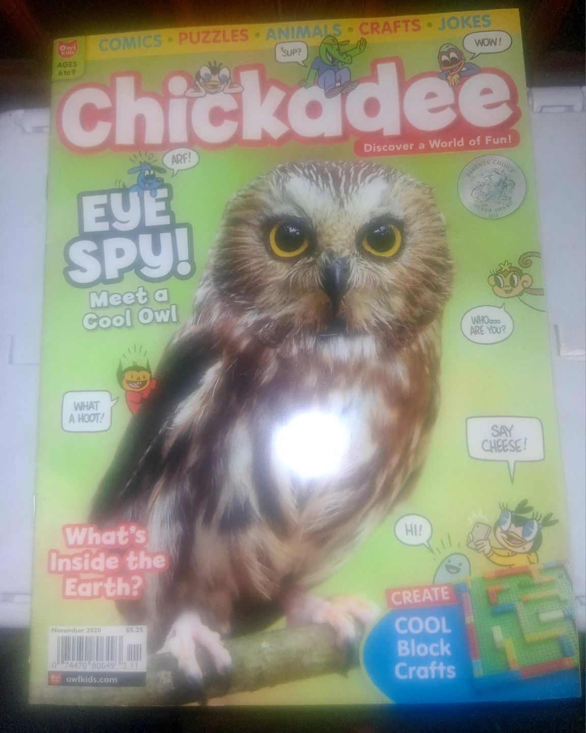 Chickadee Magazine Bundle - photo 2