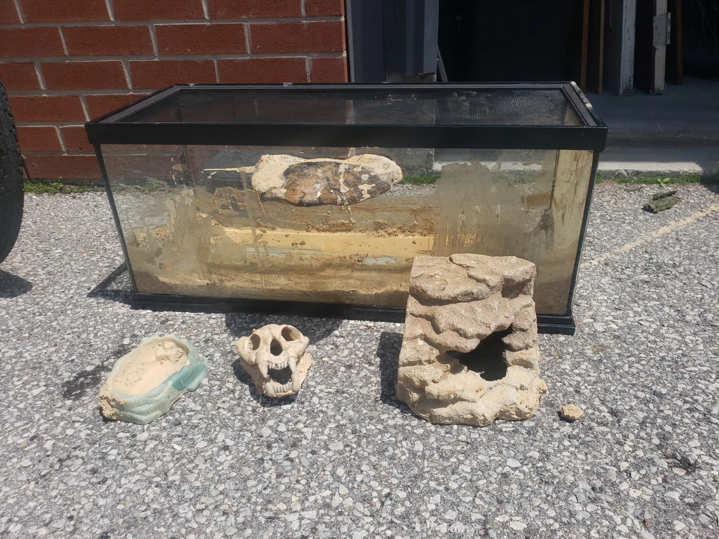 Terrarium with Accessories