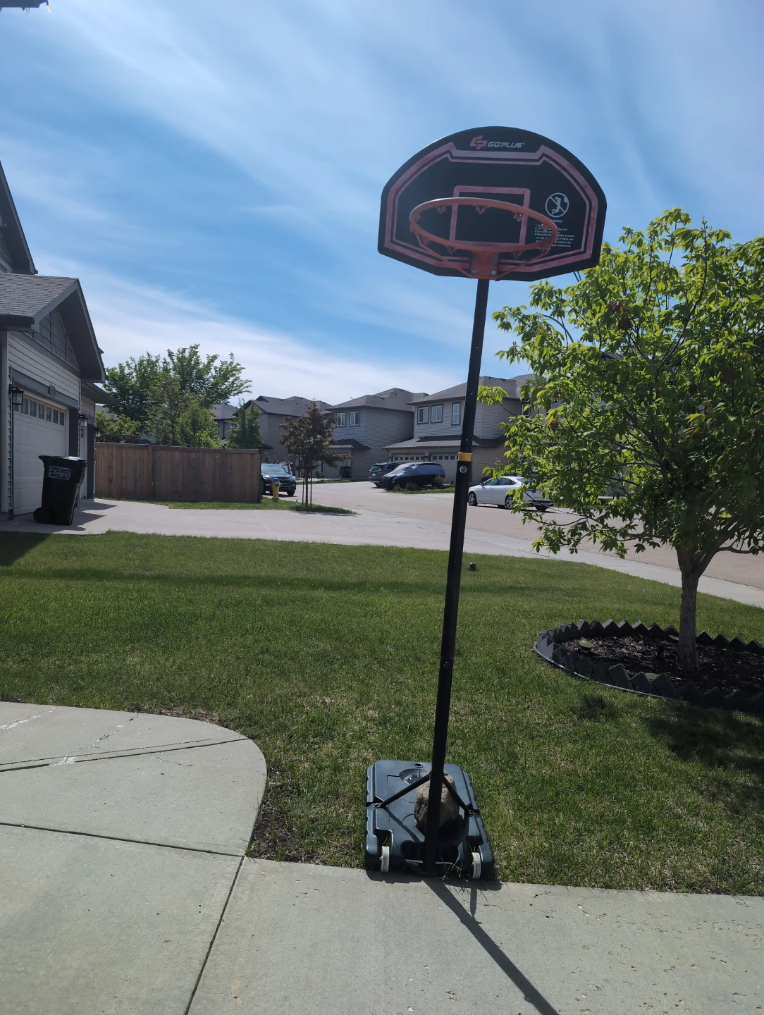 Portable Basketball Hoop - photo 2
