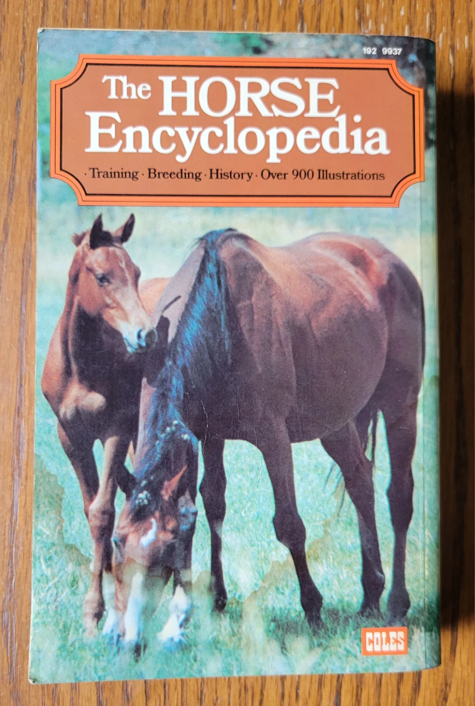 The Horse Encyclopedia Book ⚽