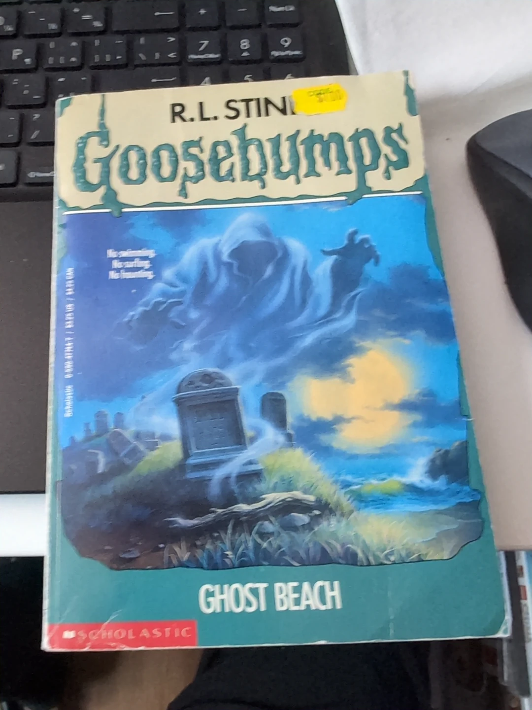 R.L. Stine Goosebumps Ghost Beach Book