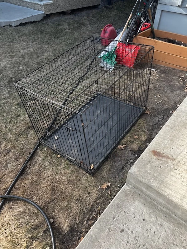 Wire Dog Crate with Black Tray