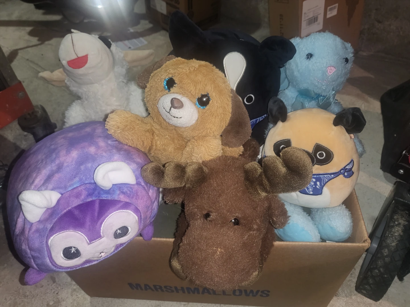 Plush Toy Bundle - Various Animals