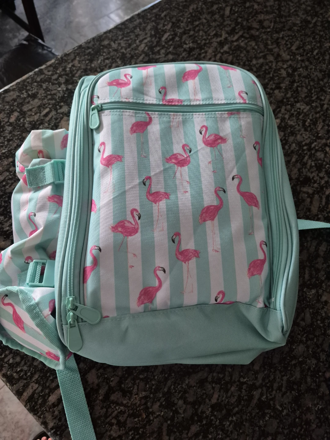 Brand new Flamingo Picnic Backpack - photo 2