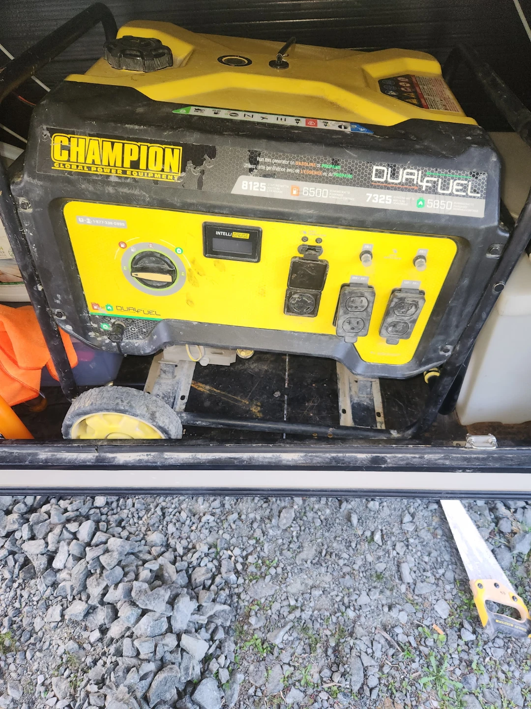 Champion 7325/8125 Watt Dual Fuel Portable Generator