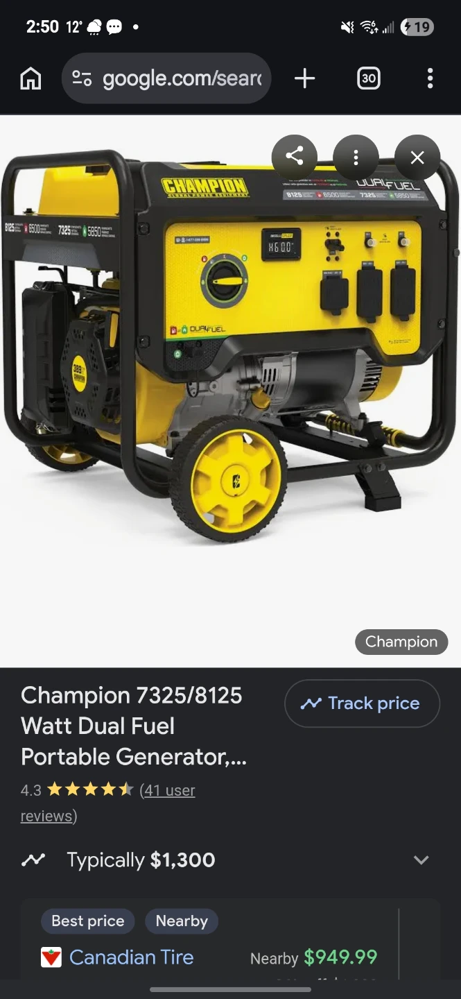 Champion 7325/8125 Watt Dual Fuel Portable Generator - photo 2