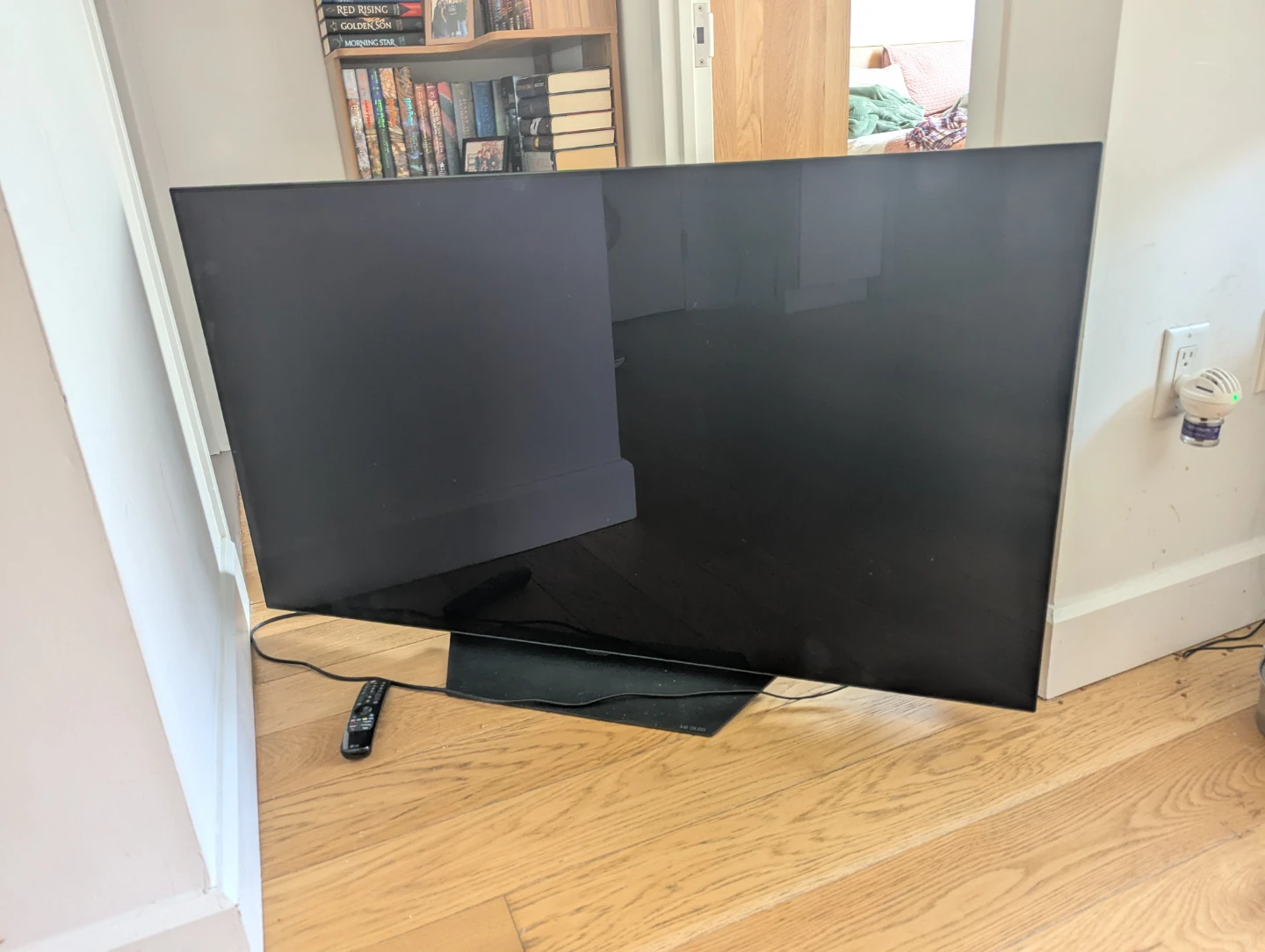 LG OLED B2 55" TV (Screen doesn't turn on)