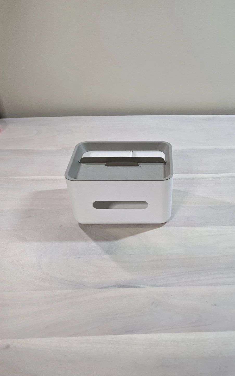 Divided Storage Container with Lid and Kleenex holder