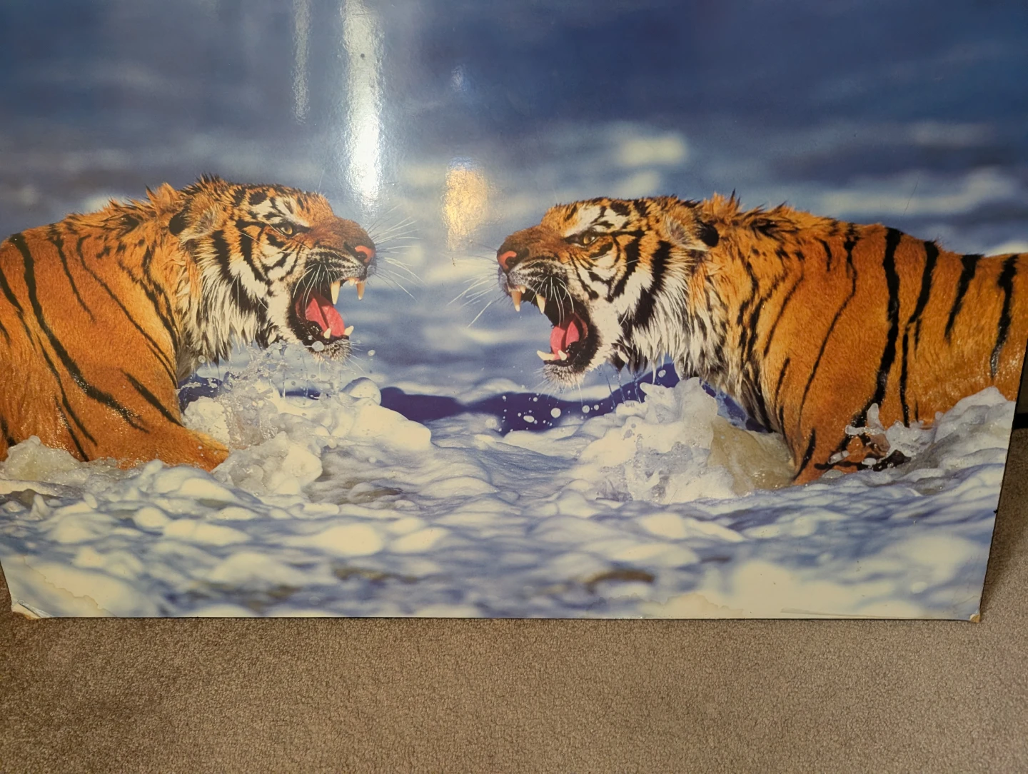 Tiger Fight Poster