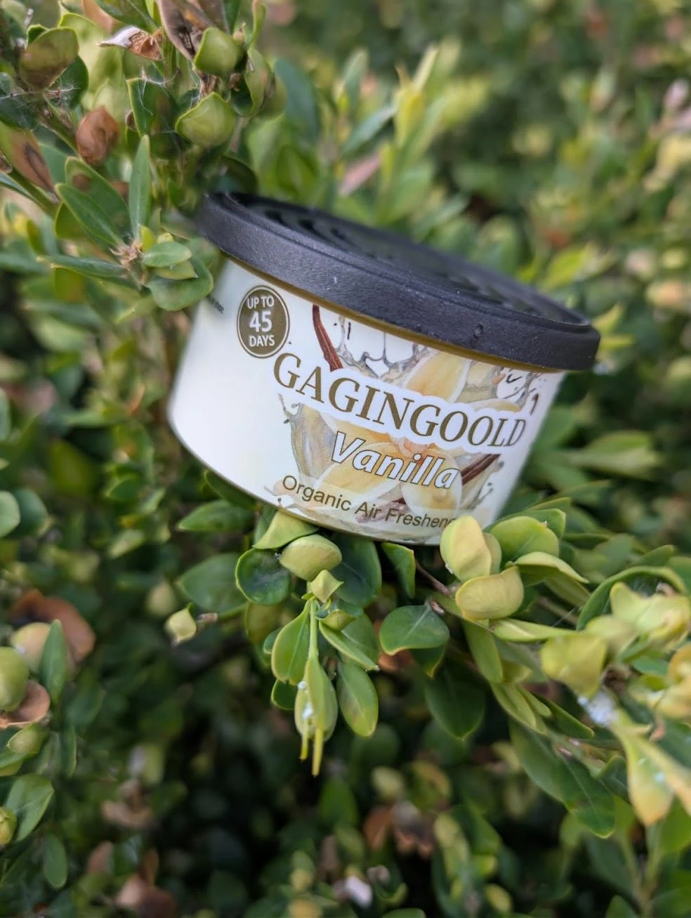 Gagingoold Vanilla Organic Air Freshener