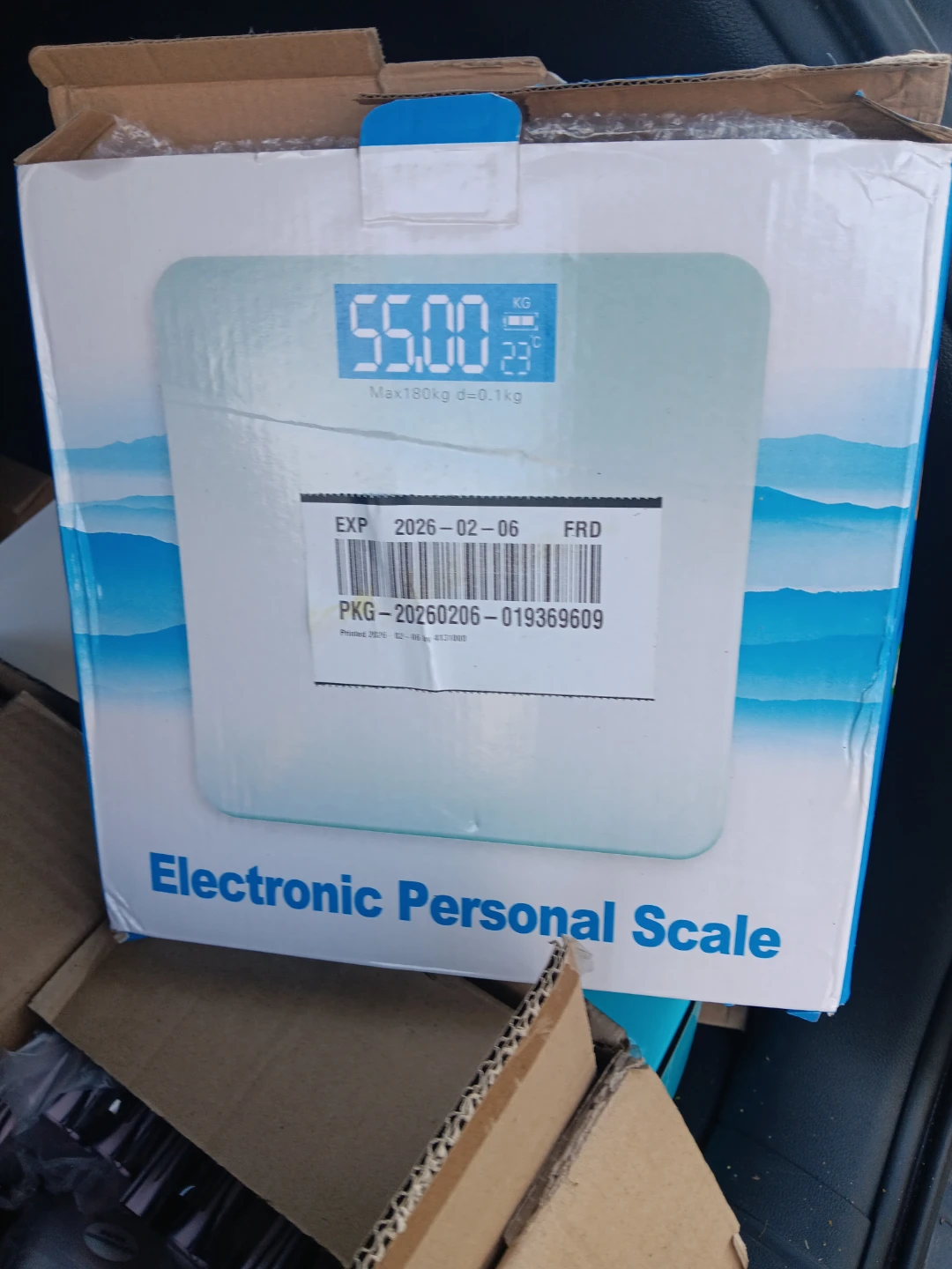 Electronic Personal Scale