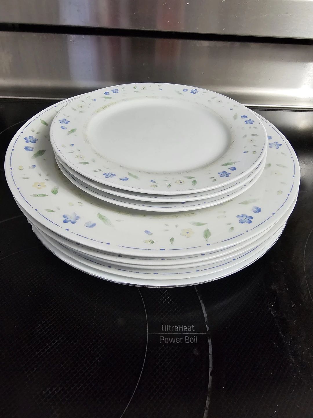 Set of 5 Floral Dinner Plates and 3 small plates