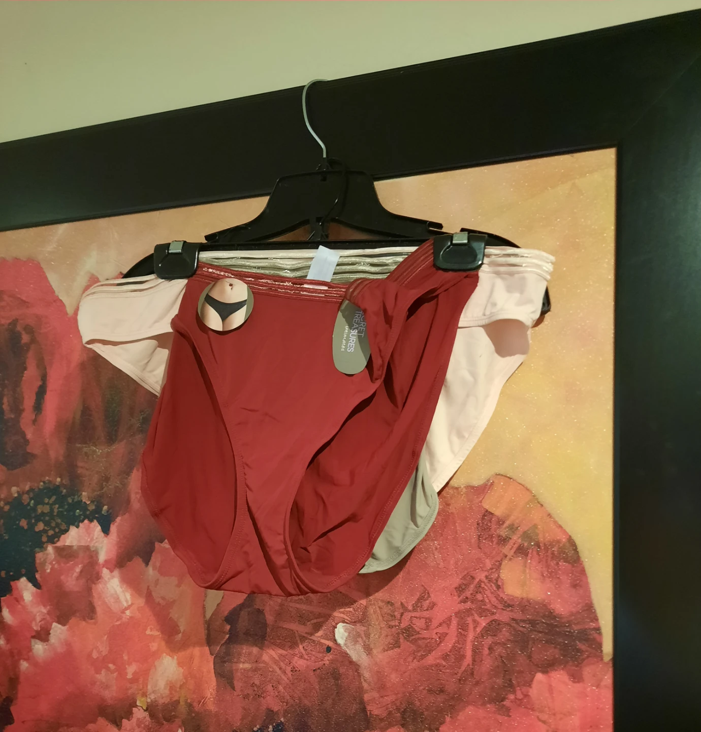 NWT Secret Treasures plus size 3X panties 3Pack