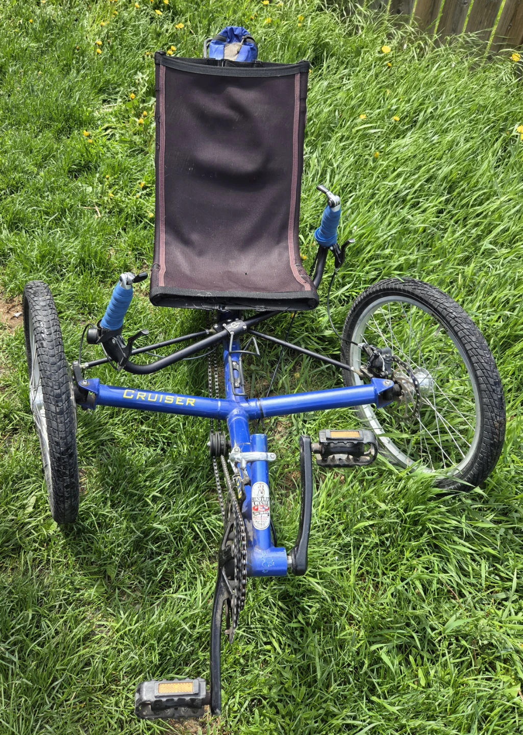 Blue TerraTrike Cruiser Recumbent Trike