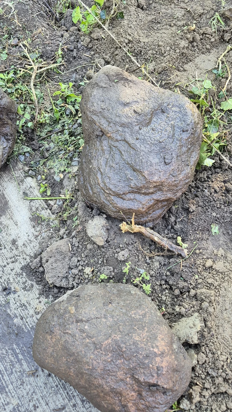 Decorative garden rocks