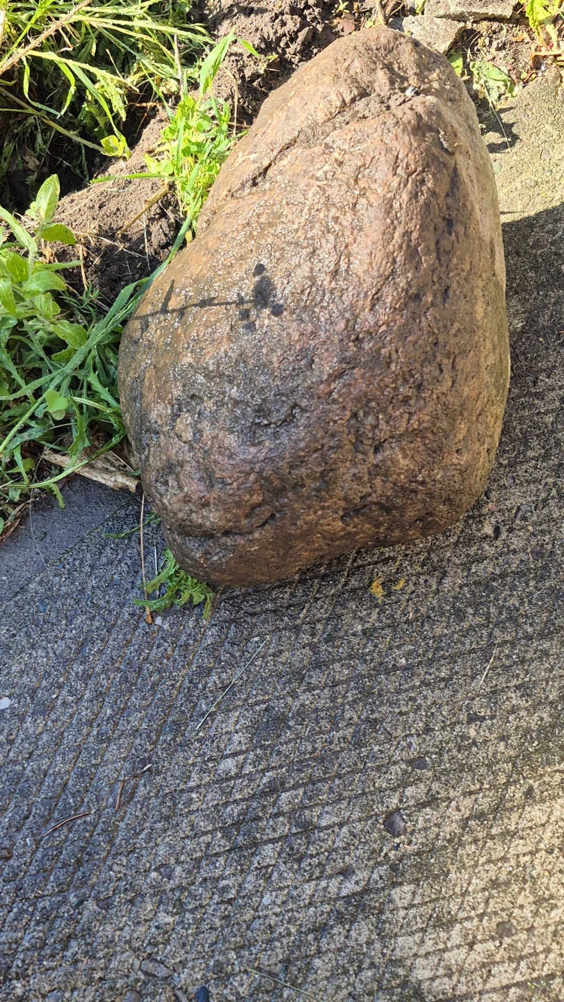 Decorative garden rocks - photo 5