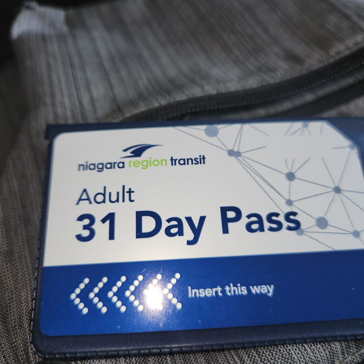 Niagara Region Transit Adult 31 Day Pass
