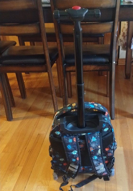 Rolling Backpack - photo 4
