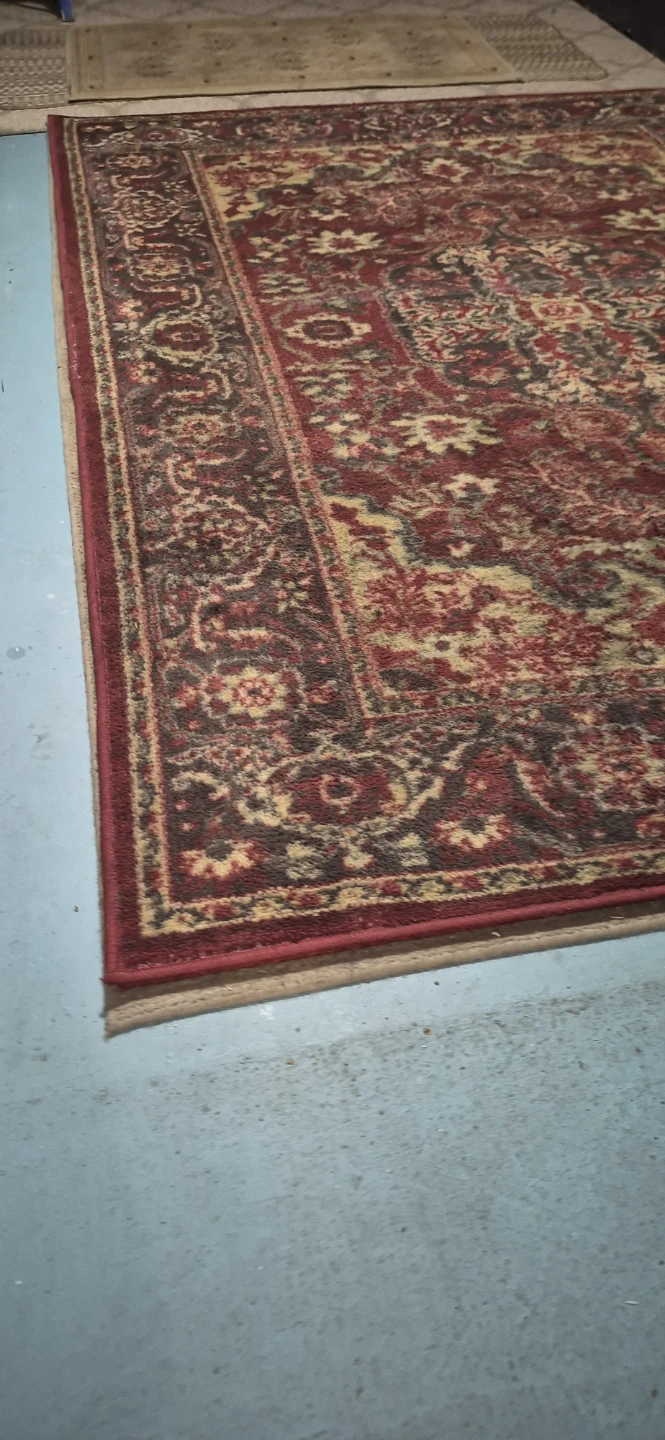 Oriental Design Area Rug