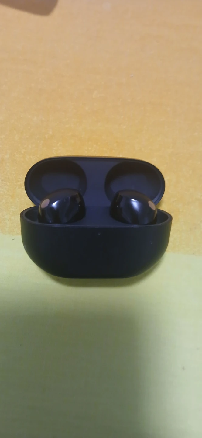 Sony Wireless Earbuds with Charging Case