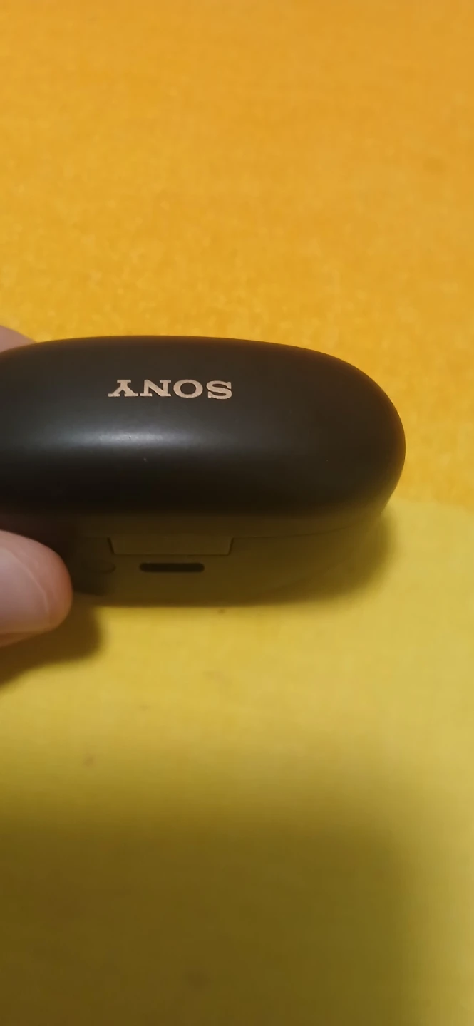 Sony Wireless Earbuds with Charging Case - photo 2