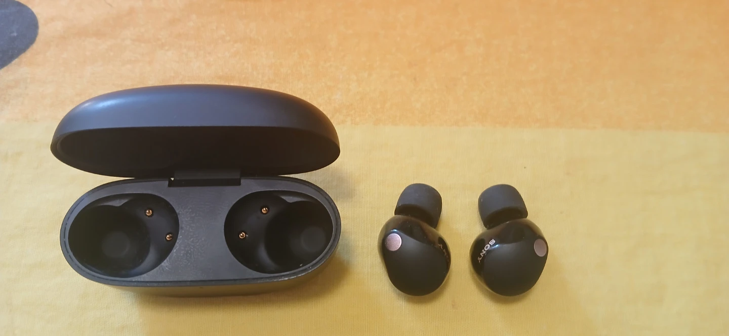 Sony Wireless Earbuds with Charging Case - photo 3