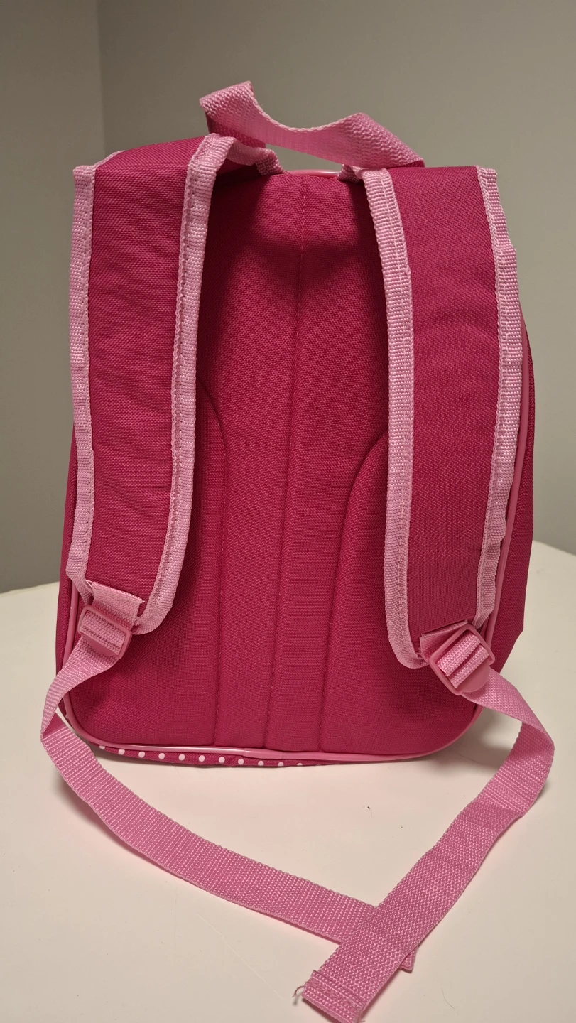 Brand new Dora the Explorer Backpack - photo 3