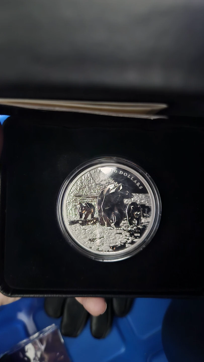 2024 Canada Special Edition Proof Silver Dollar Coin - photo 2