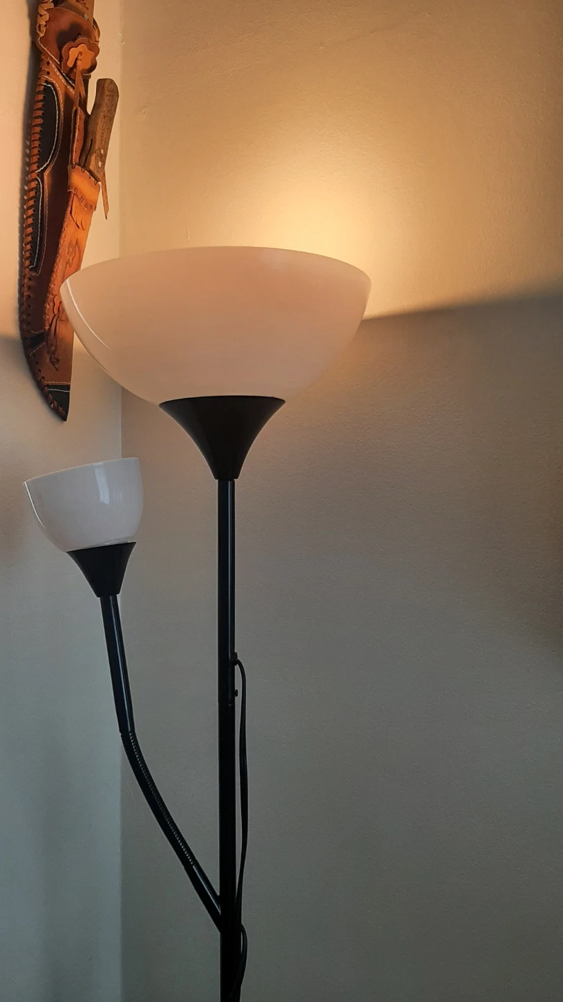 Floor Lamp with Two Lights