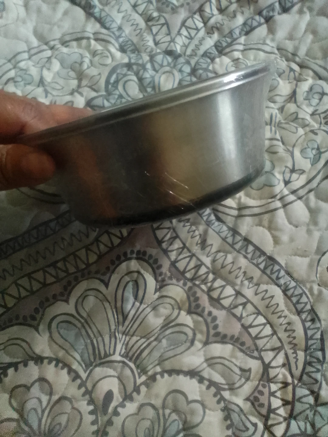Stainless Steel Pet Bowl