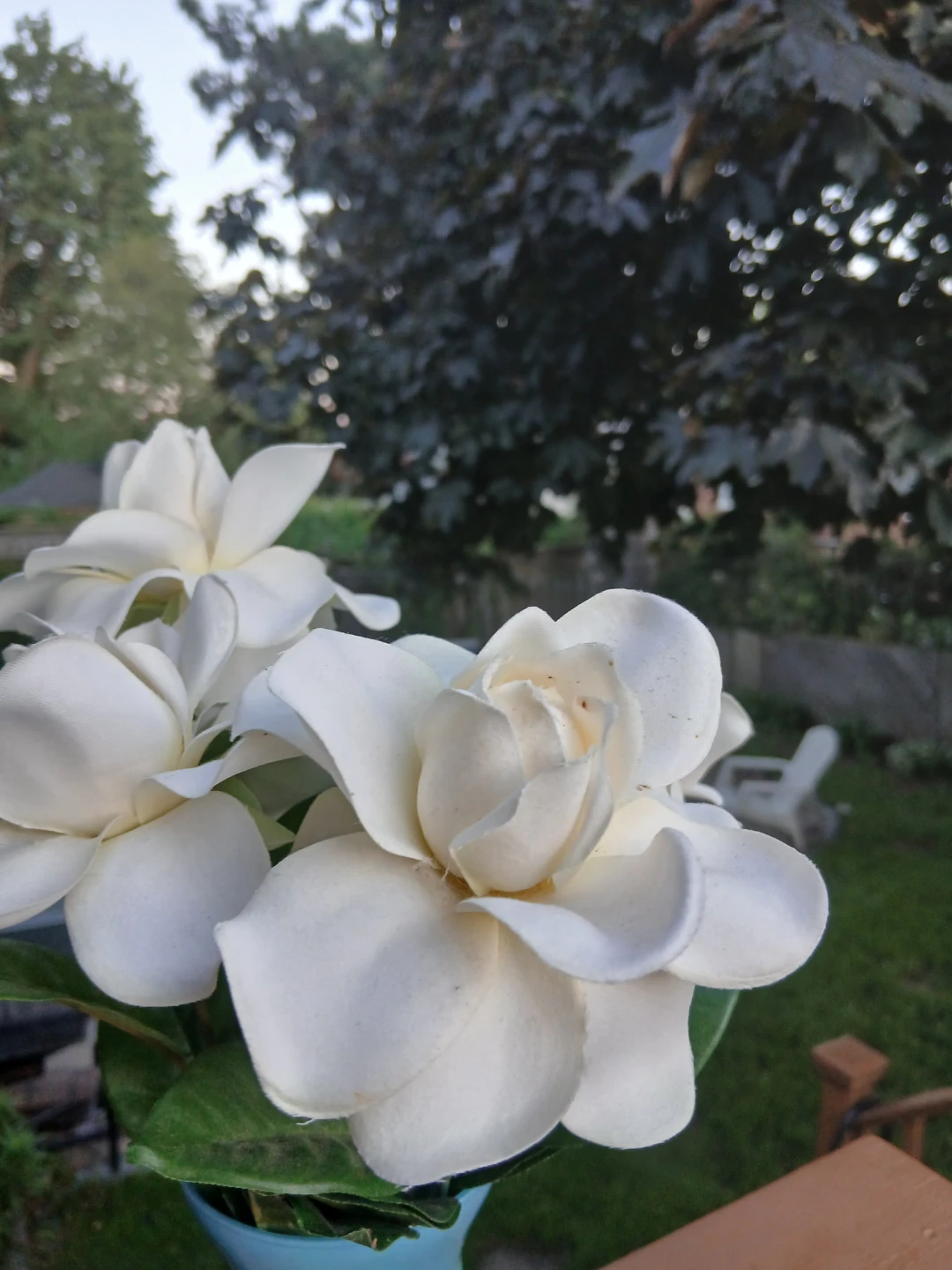 Light Blue Vase with White Artificial Gardenias - photo 3