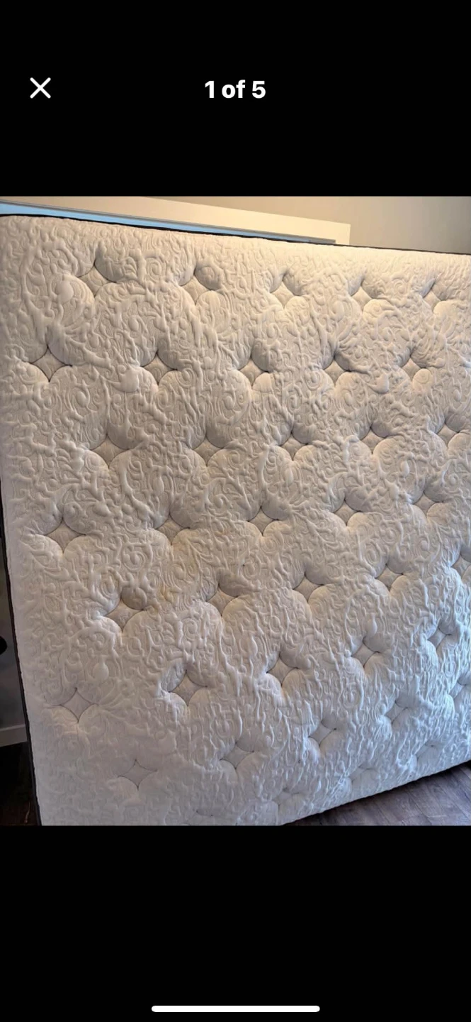 King Wayfair Sleep Mattress/free delivery