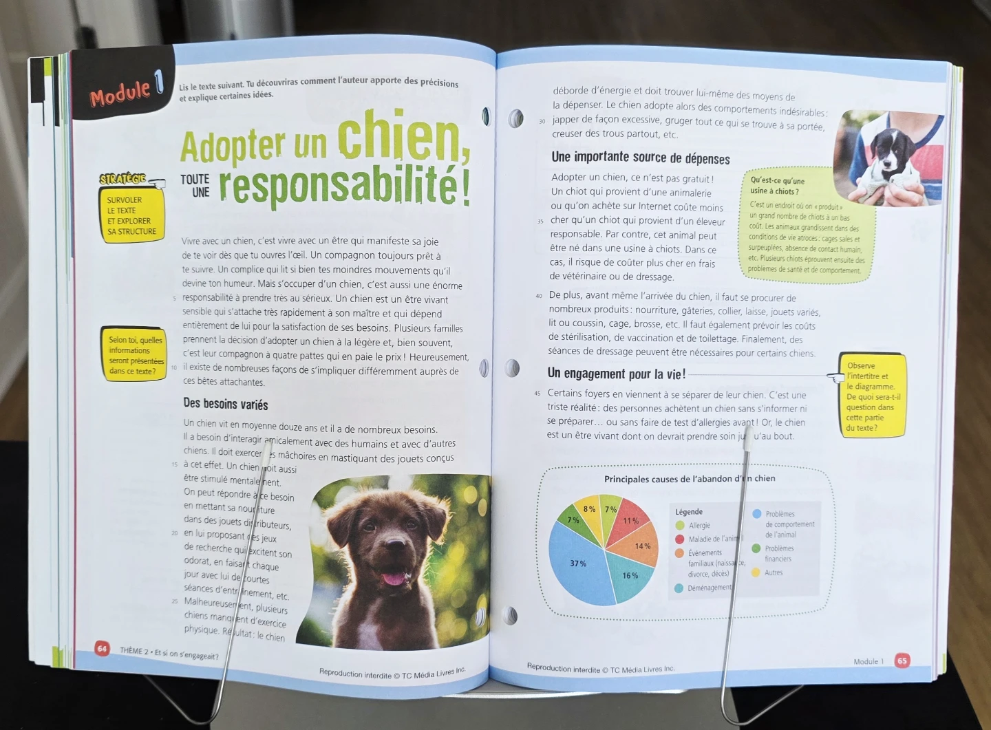 Gr. 6 School Textbooks / Manuels scolaires neufs de 6e année - photo 4
