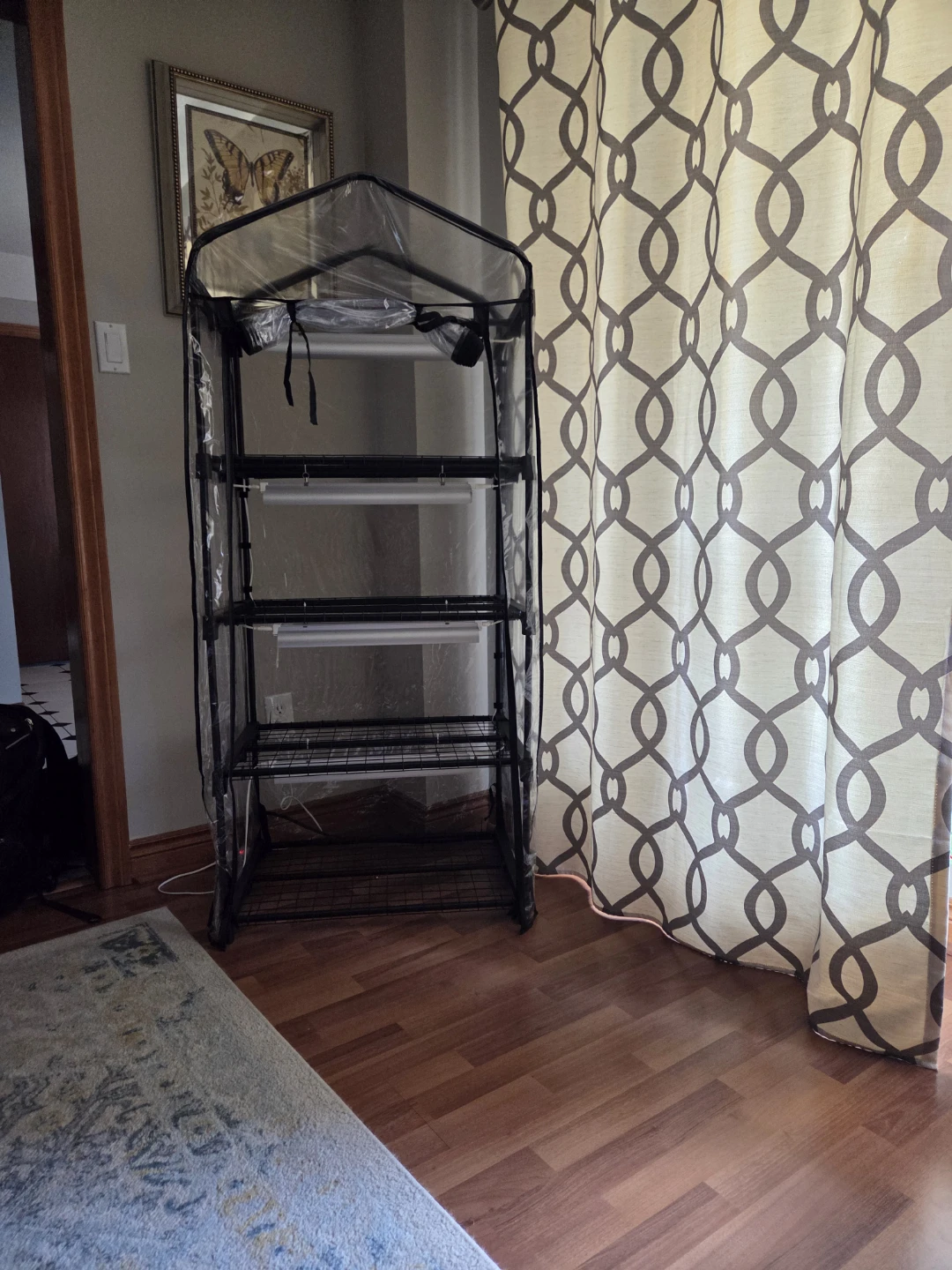 4 Tier Indoor Greenhouse with Grow Light
