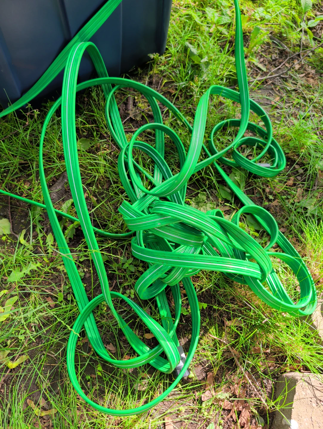 Green Garden Hose