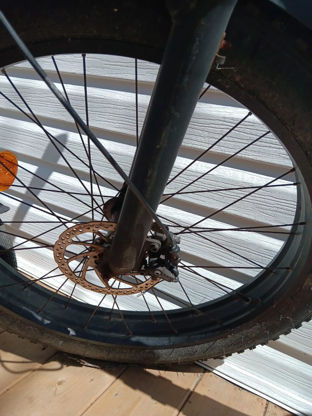 Electric bike - photo 2