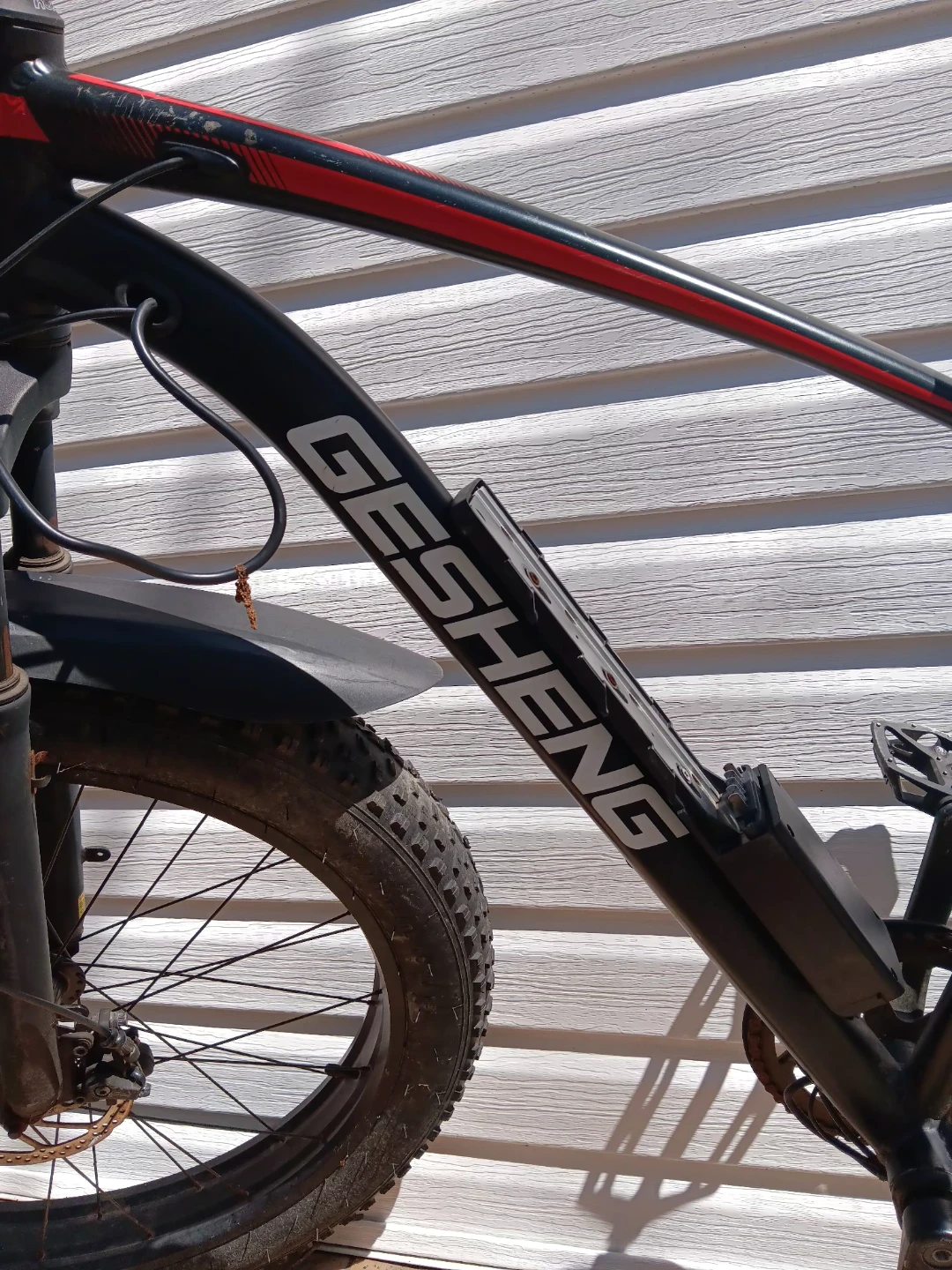 Electric bike - photo 4