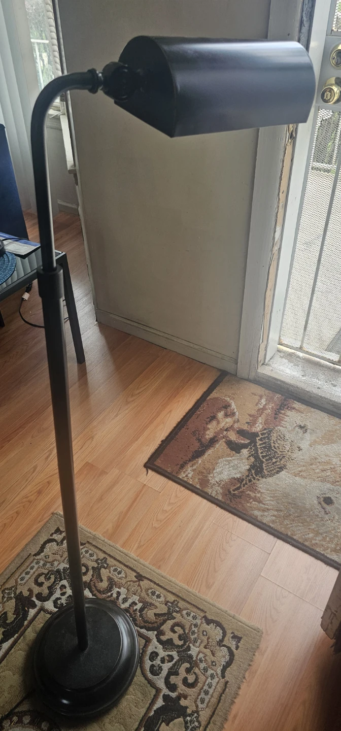 Black Floor Lamp with Adjustable Head