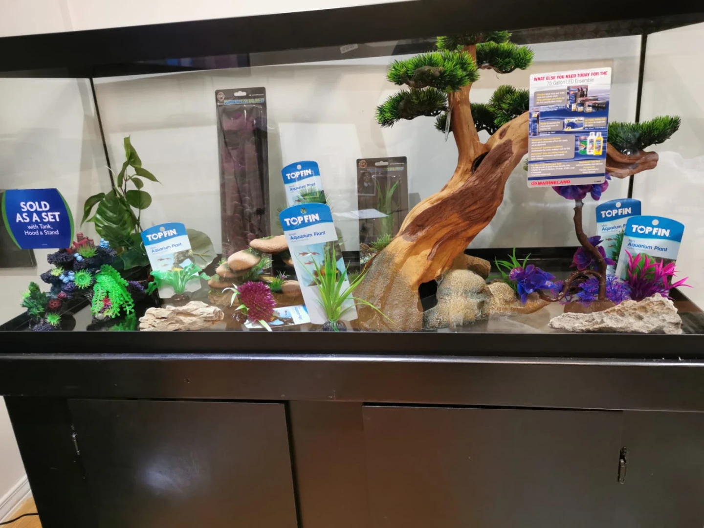 75 Gallon Aquarium with Stand and Ornaments