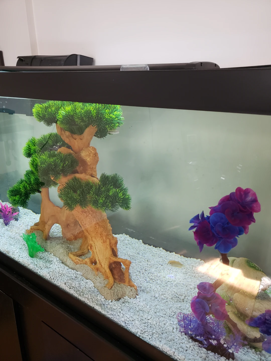 75 Gallon Aquarium with Stand and Ornaments - photo 2