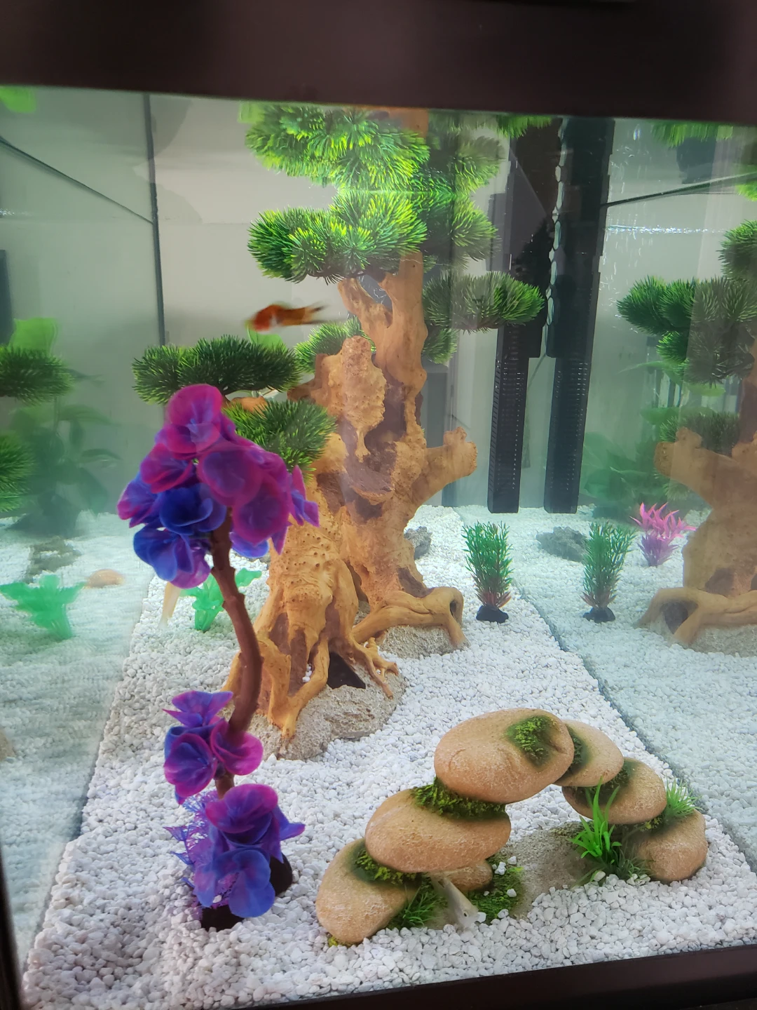 75 Gallon Aquarium with Stand and Ornaments - photo 4