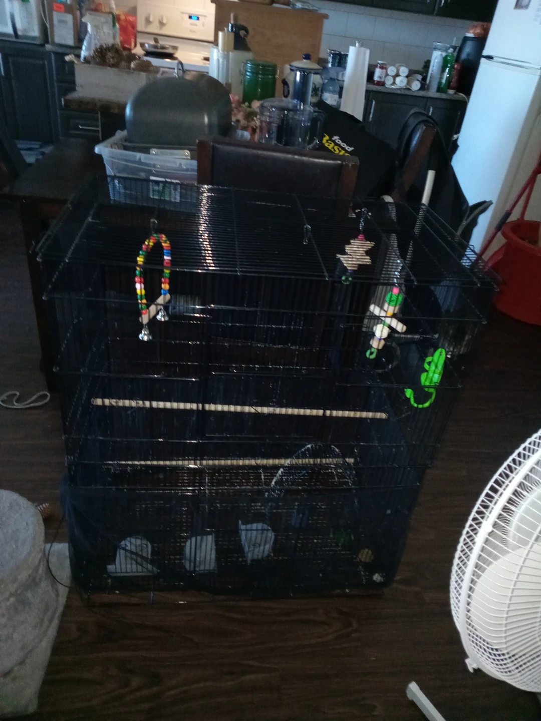 Black Bird Cage with Accessories