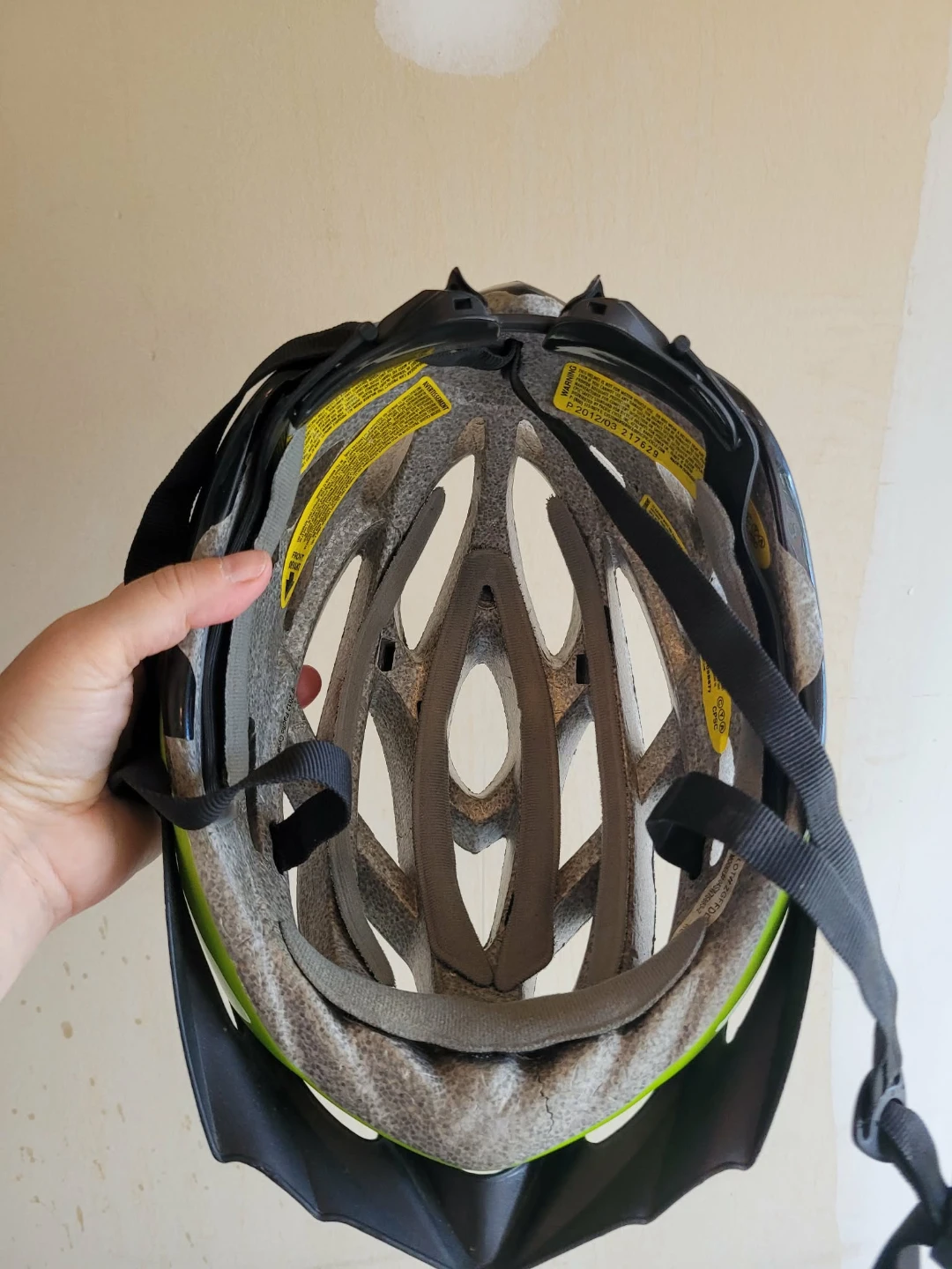 Schwinn Adult Bike Helmet - Green - photo 4